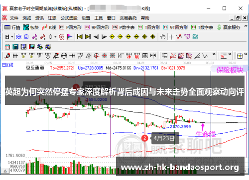 英超为何突然停摆专家深度解析背后成因与未来走势全面观察动向评